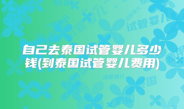 自己去泰国试管婴儿多少钱(到泰国试管婴儿费用)