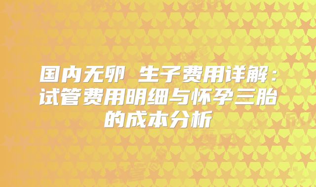 国内无卵�生子费用详解:试管费用明细与怀孕三胎的成本分析