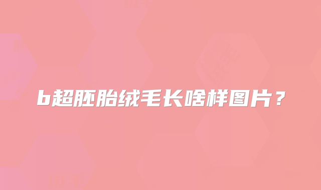b超胚胎绒毛长啥样图片?