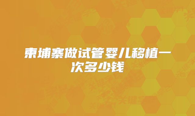 柬埔寨做试管婴儿移植一次多少钱