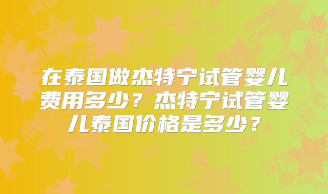 在泰国做杰特宁试管婴儿费用多少？杰特宁试管婴儿泰国价格是多少？
