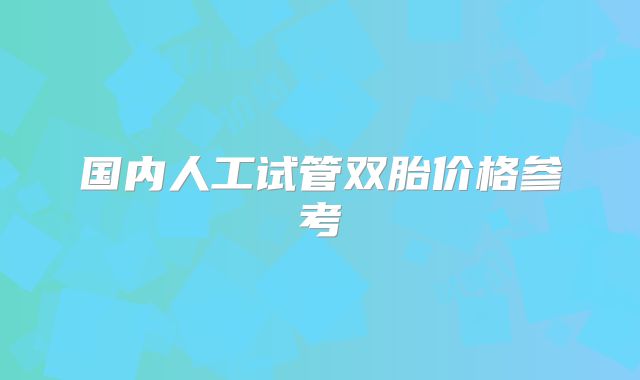 国内人工试管双胎价格参考