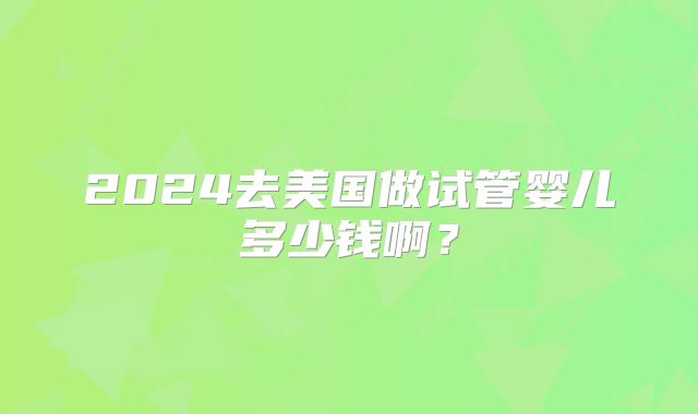 2024去美国做试管婴儿多少钱啊？