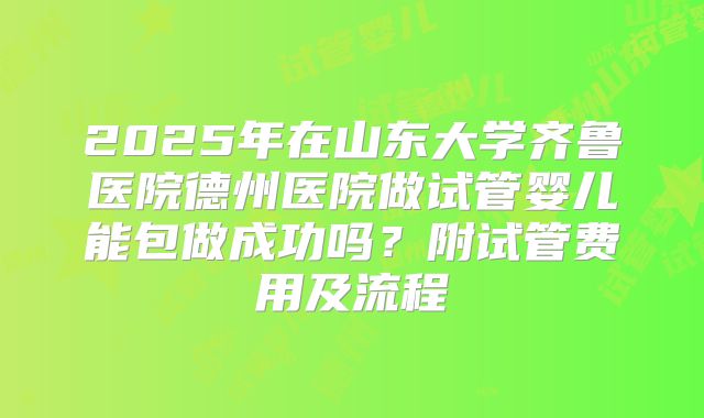 2025年在山东大学齐鲁医院德州医院做试管婴儿能包做成功吗？附试管费用及流程
