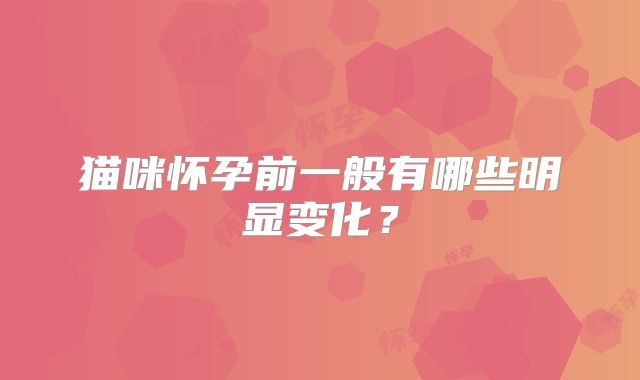 猫咪怀孕前一般有哪些明显变化?