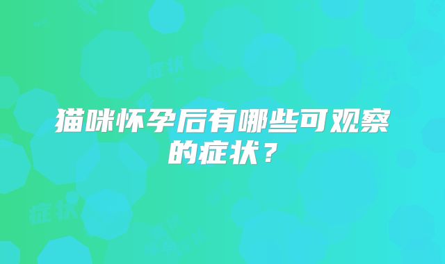 猫咪怀孕后有哪些可观察的症状？