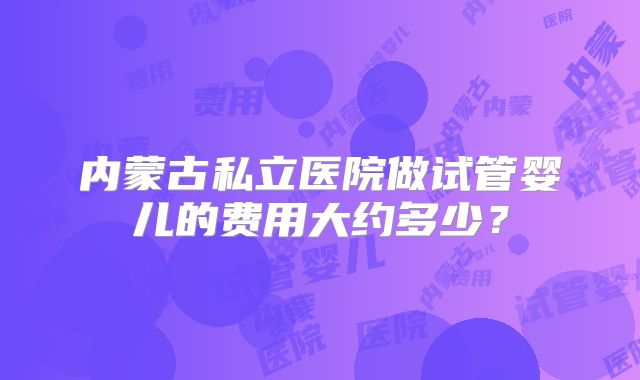 内蒙古私立医院做试管婴儿的费用大约多少？