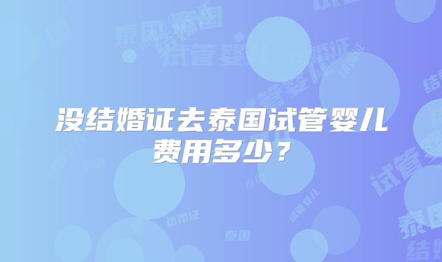 没结婚证去泰国试管婴儿费用多少？