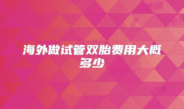 海外做试管双胎费用大概多少