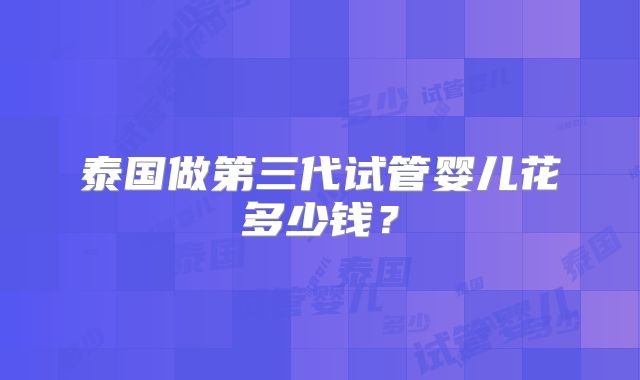 泰国做第三代试管婴儿花多少钱？