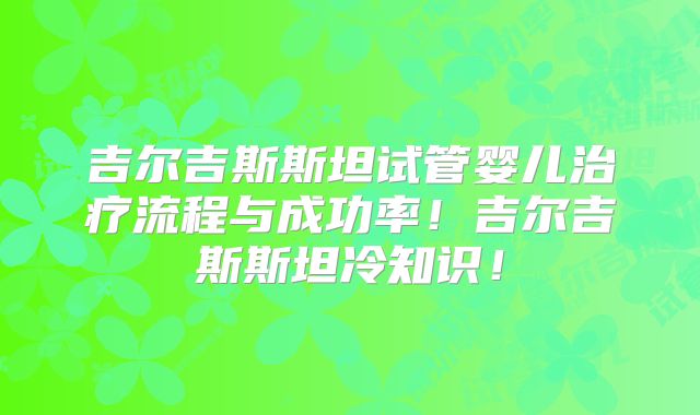吉尔吉斯斯坦试管婴儿治疗流程与成功率!吉尔吉斯斯坦冷知识!