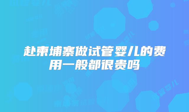 赴柬埔寨做试管婴儿的费用一般都很贵吗
