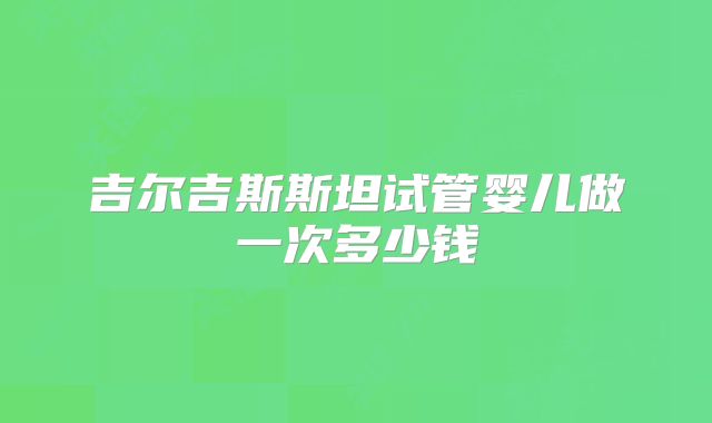 吉尔吉斯斯坦试管婴儿做一次多少钱