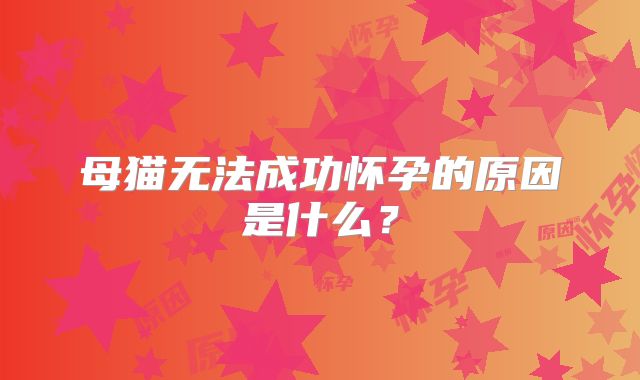 母猫无法成功怀孕的原因是什么?