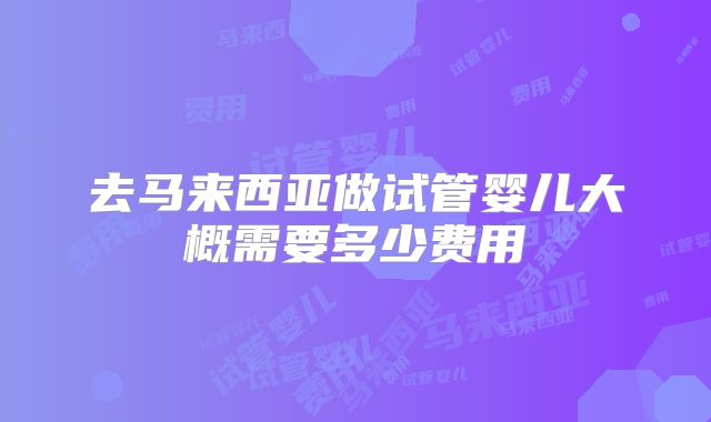去马来西亚做试管婴儿大概需要多少费用