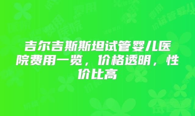 吉尔吉斯斯坦试管婴儿医院费用一览，价格透明，性价比高