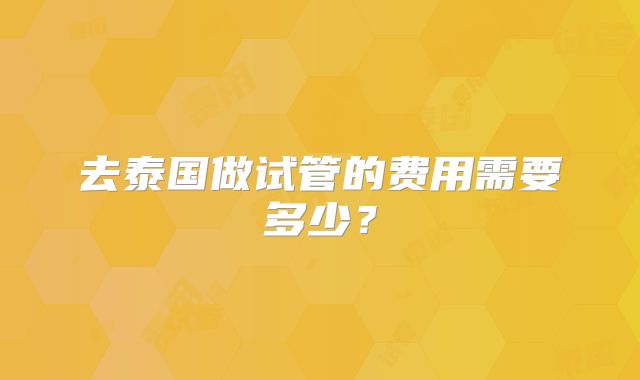 去泰国做试管的费用需要多少?