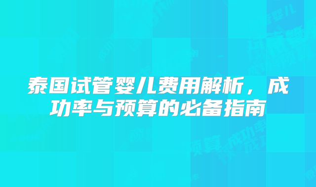 泰国试管婴儿费用解析，成功率与预算的必备指南
