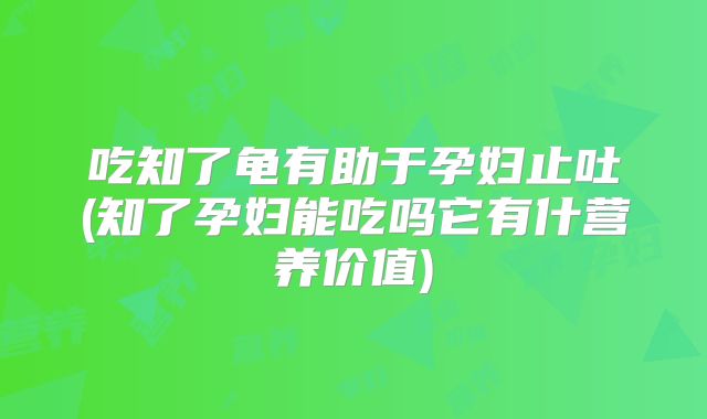 吃知了龟有助于孕妇止吐(知了孕妇能吃吗它有什营养价值)