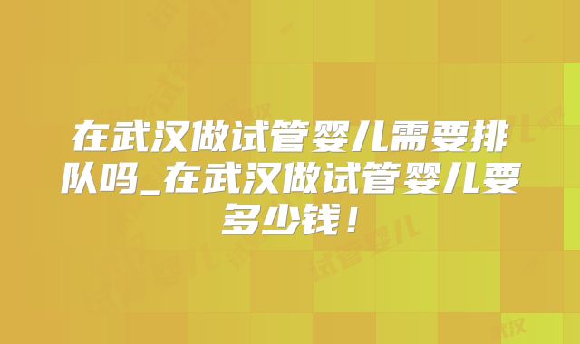 在武汉做试管婴儿需要排队吗_在武汉做试管婴儿要多少钱!