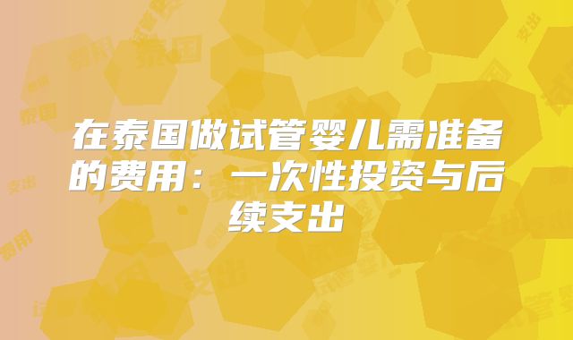 在泰国做试管婴儿需准备的费用：一次性投资与后续支出