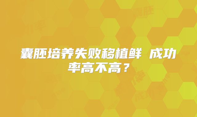 囊胚培养失败移植鲜肧成功率高不高？