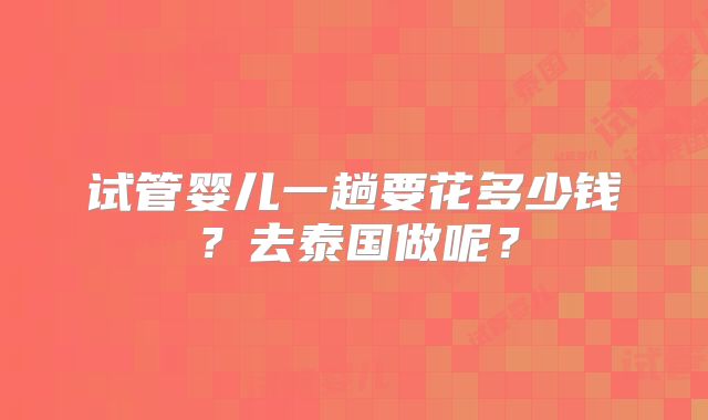 试管婴儿一趟要花多少钱？去泰国做呢？