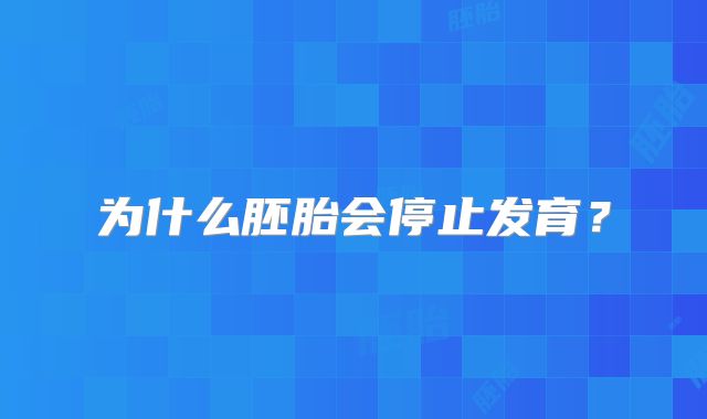 为什么胚胎会停止发育？