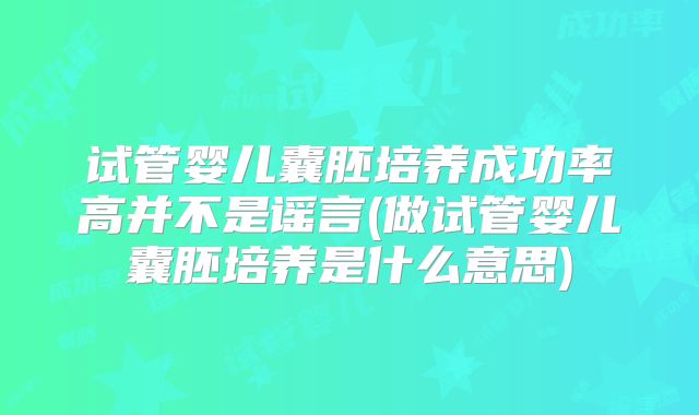 试管婴儿囊胚培养成功率高并不是谣言(做试管婴儿囊胚培养是什么意思)