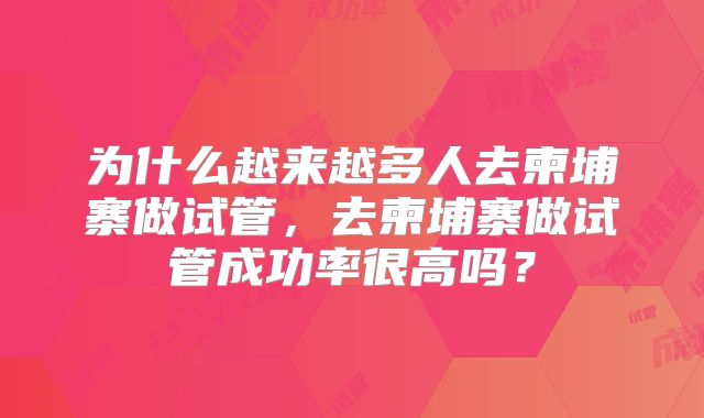 为什么越来越多人去柬埔寨做试管,去柬埔寨做试管成功率很高吗?