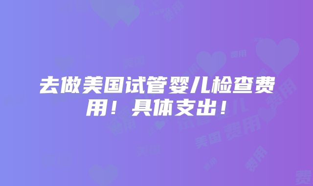 去做美国试管婴儿检查费用！具体支出！