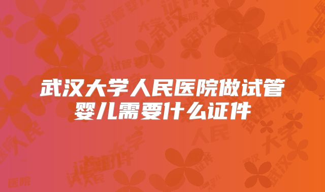 武汉大学人民医院做试管婴儿需要什么证件