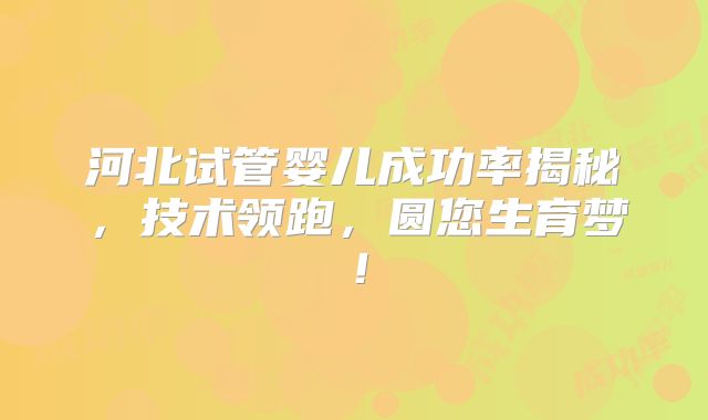 河北试管婴儿成功率揭秘，技术领跑，圆您生育梦！