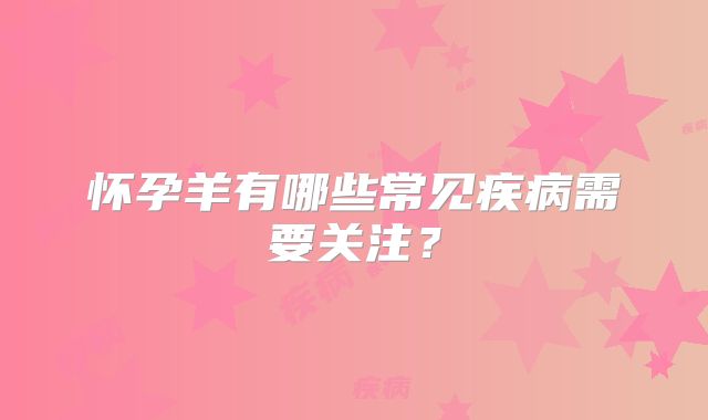 怀孕羊有哪些常见疾病需要关注?