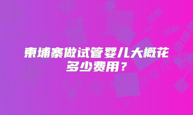 柬埔寨做试管婴儿大概花多少费用？