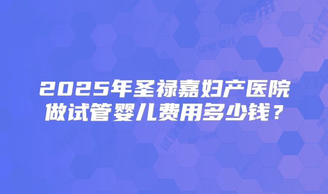 2025年圣禄嘉妇产医院做试管婴儿费用多少钱？