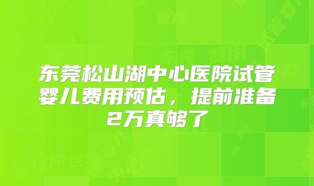 东莞松山湖中心医院试管婴儿费用预估，提前准备2万真够了