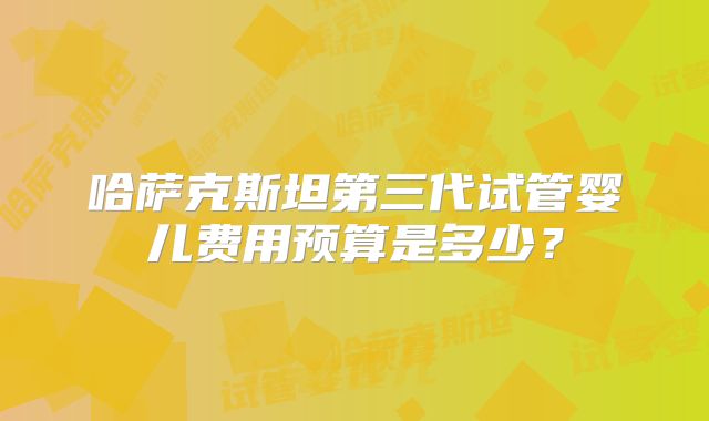 哈萨克斯坦第三代试管婴儿费用预算是多少？