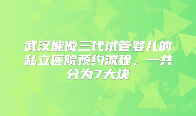 武汉能做三代试管婴儿的私立医院预约流程，一共分为7大块