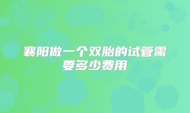 襄阳做一个双胎的试管需要多少费用