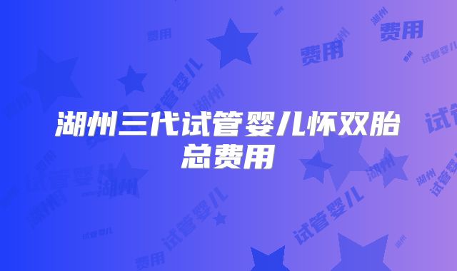 湖州三代试管婴儿怀双胎总费用