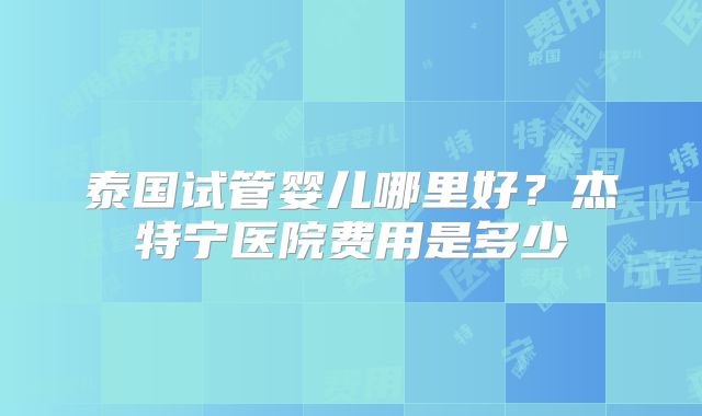 泰国试管婴儿哪里好?杰特宁医院费用是多少