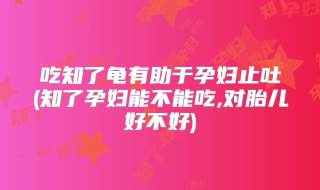 吃知了龟有助于孕妇止吐(知了孕妇能不能吃,对胎儿好不好)
