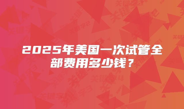 2025年美国一次试管全部费用多少钱？