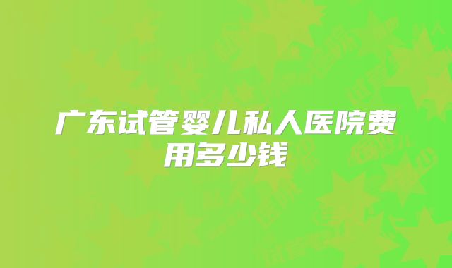 广东试管婴儿私人医院费用多少钱