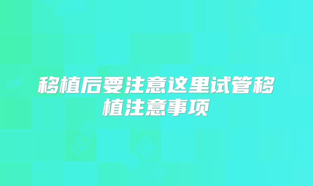 移植后要注意这里试管移植注意事项
