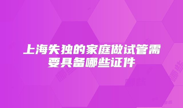 上海失独的家庭做试管需要具备哪些证件