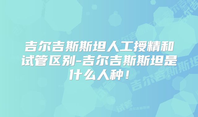 吉尔吉斯斯坦人工授精和试管区别-吉尔吉斯斯坦是什么人种！
