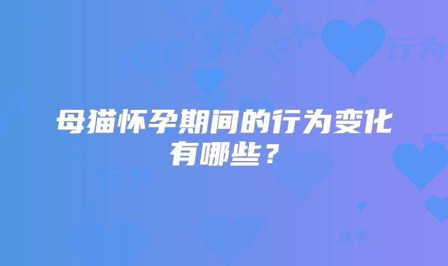 母猫怀孕期间的行为变化有哪些?