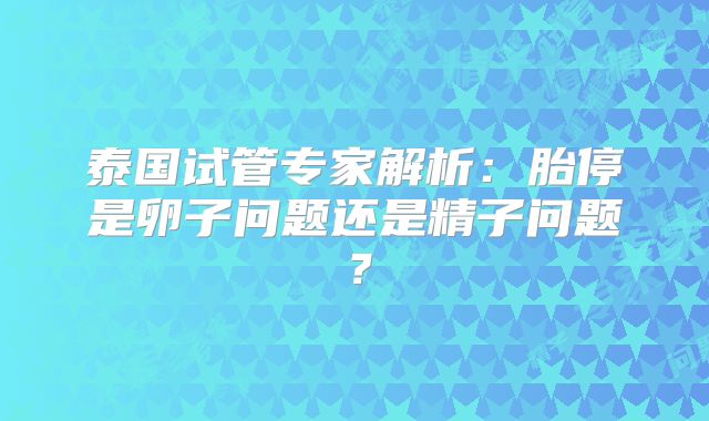 泰国试管专家解析：胎停是卵子问题还是精子问题？